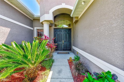 Casa en alquiler en New Port Richey, Florida, 5 dormitorios, 294.41 m2 № 1906454 - foto 5
