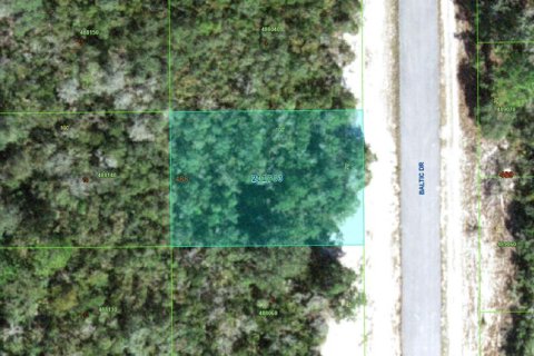 Land in Kissimmee, Florida № 2159618