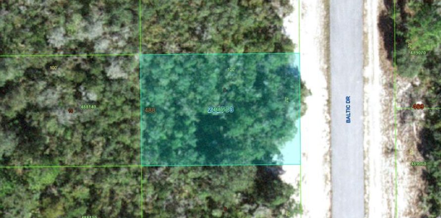 Land in Kissimmee, Florida № 2159618