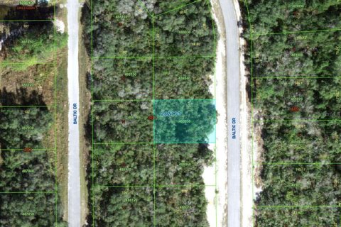 Land in Kissimmee, Florida № 2159618 - photo 2