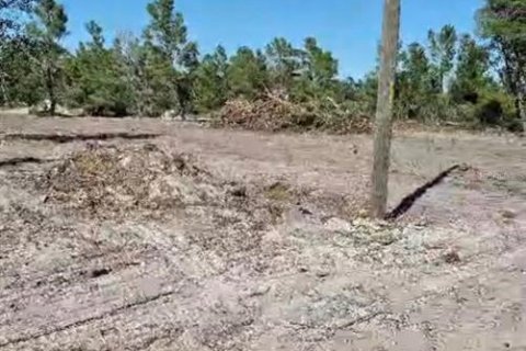 Terreno en venta en Lake Wales, Florida № 2201184 - foto 2