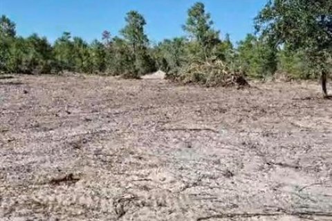 Terreno en Lake Wales, Florida № 2201184