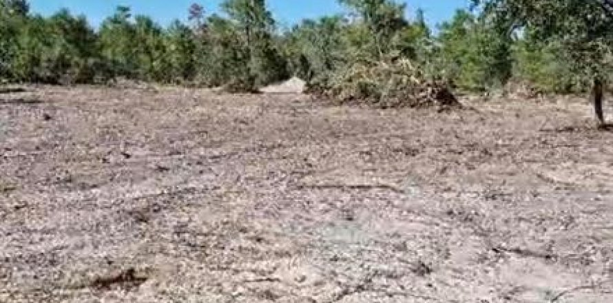 Terreno en Lake Wales, Florida № 2201184
