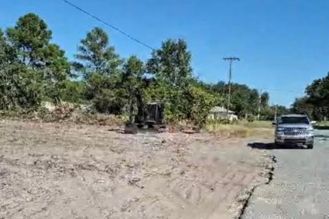 Terreno en venta en Lake Wales, Florida № 2201184 - foto 3
