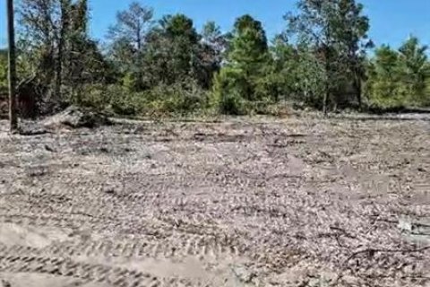Terreno en venta en Lake Wales, Florida № 2201184 - foto 4