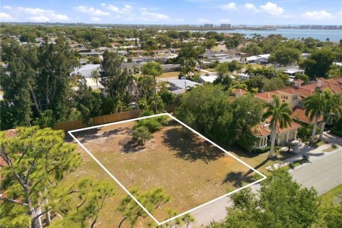Land in Sarasota, Florida № 2219217 - photo 7