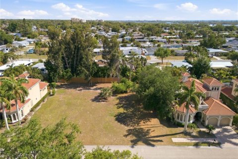 Land in Sarasota, Florida № 2219217 - photo 8