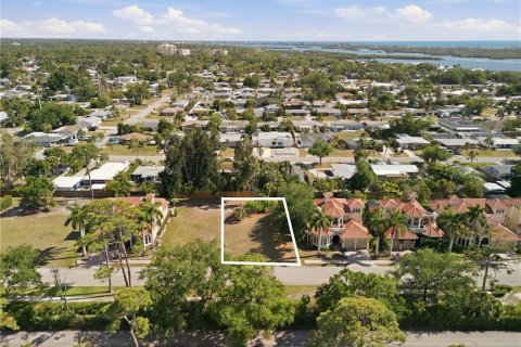 Land in Sarasota, Florida № 2219217 - photo 13