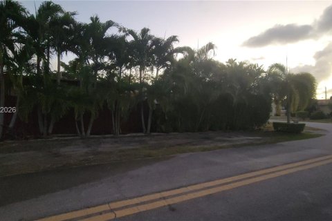 Villa ou maison à vendre à South Miami, Floride: 3 chambres, 138.24 m2 № 2085721 - photo 7