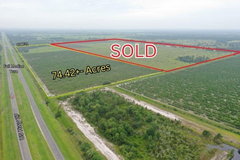 Land in Venus, Florida № 1261660 - photo 2