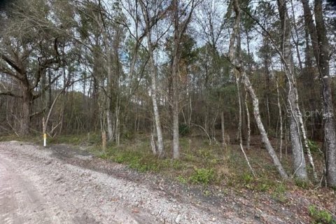 Land in Lake City, Florida № 916807 - photo 3