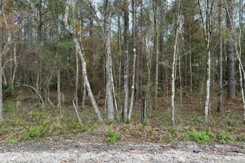 Land in Lake City, Florida № 916807 - photo 1