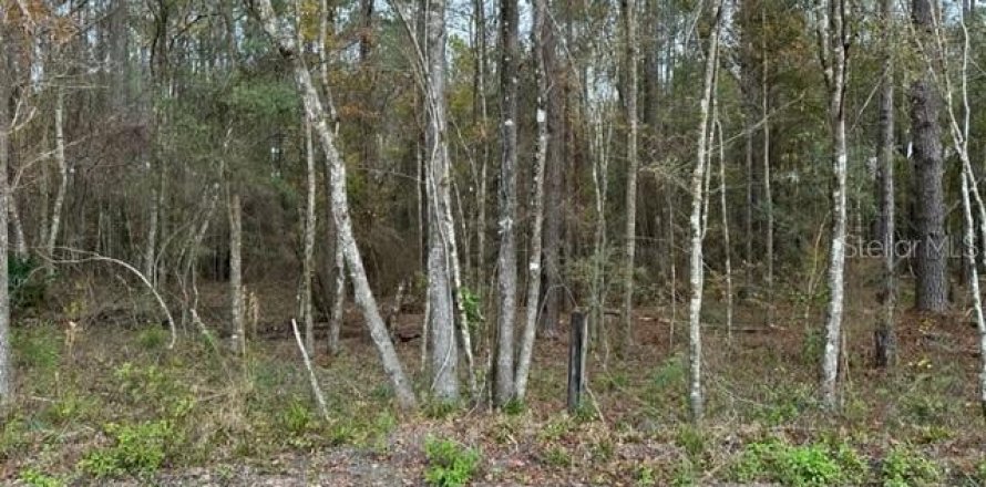 Land in Lake City, Florida № 916807