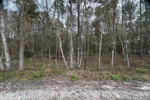 Land in Lake City, Florida № 916807 - photo 2