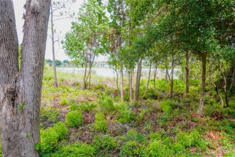 Adosado en venta en Maitland, Florida, 3 dormitorios, 153.38 m2 № 2222460 - foto 12