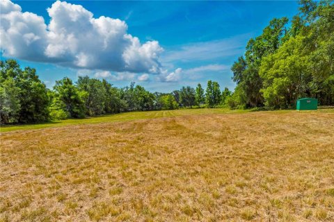 Terreno en venta en Dade City, Florida № 1648959 - foto 15