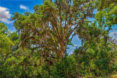 Terreno en venta en Dade City, Florida № 1648959 - foto 19