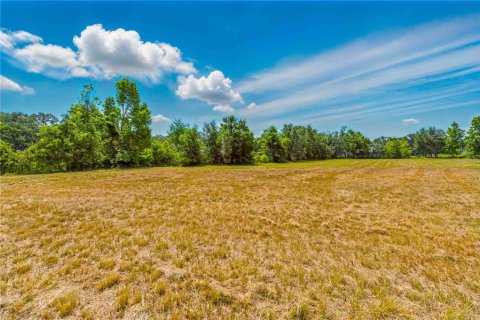 Terreno en venta en Dade City, Florida № 1648959 - foto 16