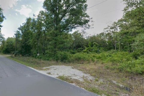 Land in Old Town, Florida № 2230311 - photo 5