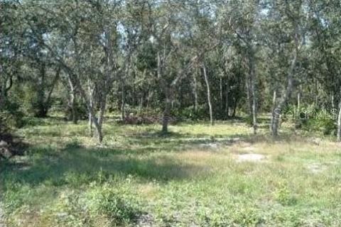 Land in Old Town, Florida № 2230311