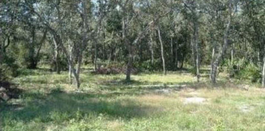 Land in Old Town, Florida № 2230311