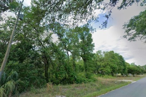 Land in Old Town, Florida № 2230311 - photo 3