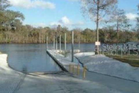 Land in Old Town, Florida № 2230311 - photo 9