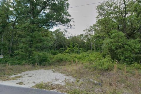 Land in Old Town, Florida № 2230311 - photo 8
