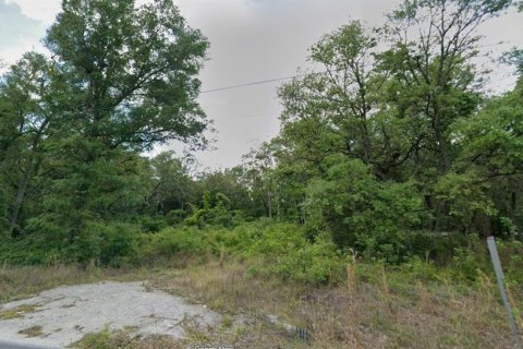 Land in Old Town, Florida № 2230311 - photo 4