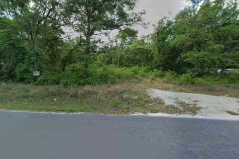 Land in Old Town, Florida № 2230311 - photo 2