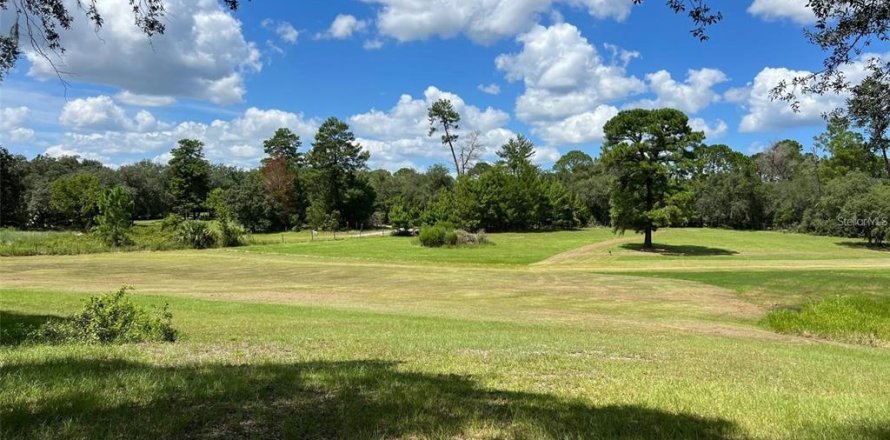 Land in Eustis, Florida № 1512135