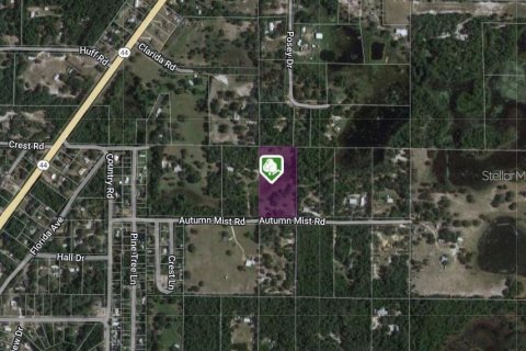 Land in Eustis, Florida № 1512135 - photo 4