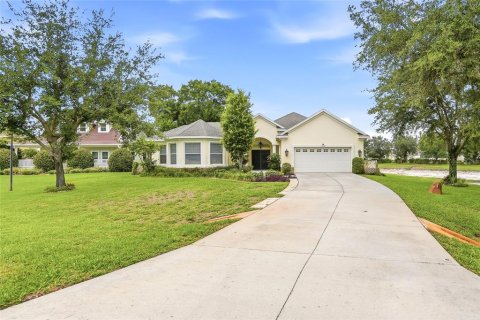 House in Lutz, Florida 4 bedrooms, 292.46 sq.m. № 2095462 - photo 4