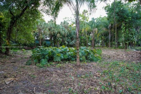 Terrain à LaBelle, Floride № 2079821