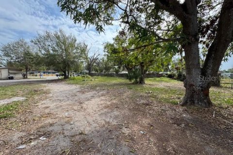 Terrain à vendre à Bradenton, Floride № 1554243 - photo 4