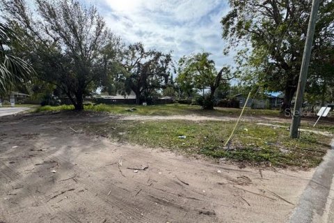 Terrain à vendre à Bradenton, Floride № 1554243 - photo 3