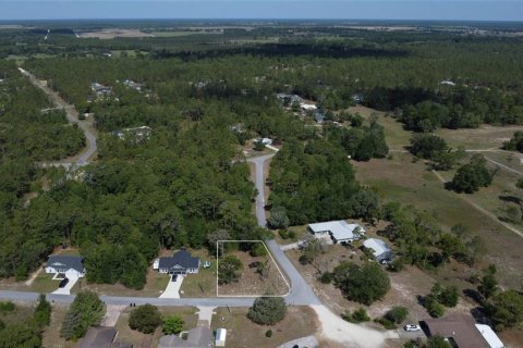 Land in Williston, Florida № 2161759 - photo 4