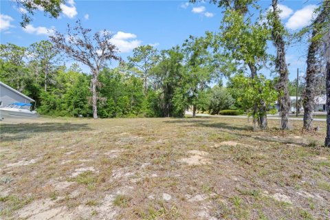 Land in Williston, Florida № 2161759 - photo 5