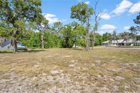 Land in Williston, Florida № 2161759 - photo 6