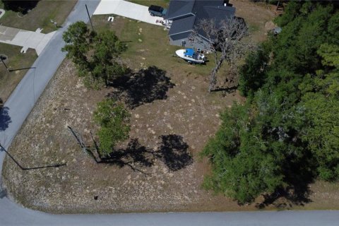 Land in Williston, Florida № 2161759 - photo 7