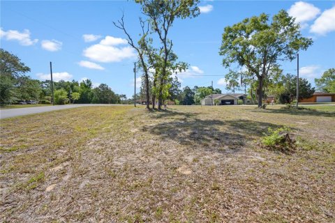 Land in Williston, Florida № 2161759 - photo 3