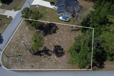 Land in Williston, Florida № 2161759 - photo 9