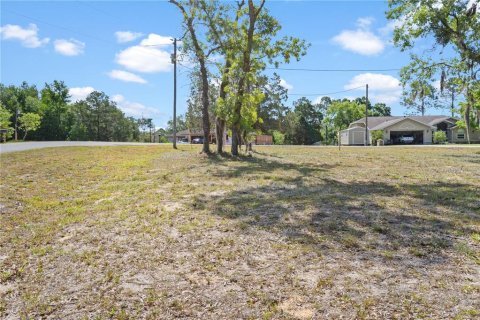Land in Williston, Florida № 2161759 - photo 2
