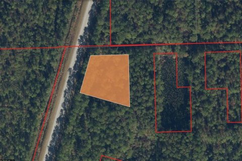 Land in Palatka, Florida № 2160888