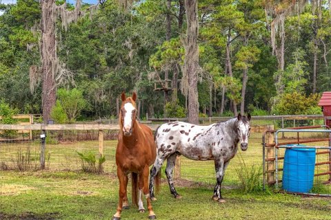 Casa en venta en Eustis, Florida, 4 dormitorios, 286.88 m2 № 1898996 - foto 5