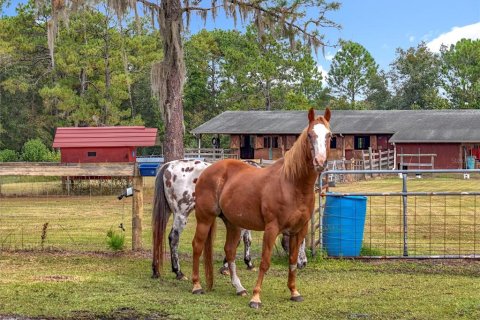 Casa en venta en Eustis, Florida, 4 dormitorios, 286.88 m2 № 1898996 - foto 4
