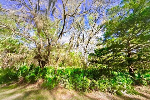 Terreno en venta en Crystal River, Florida № 2233880 - foto 7