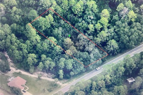 Terreno en venta en Crystal River, Florida № 2233880 - foto 4