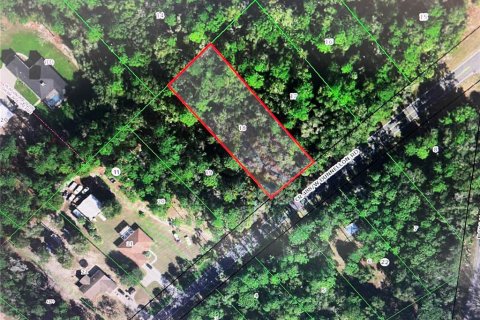 Terreno en venta en Crystal River, Florida № 2233880 - foto 2