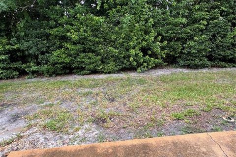 Condo in New Port Richey, Florida, 2 bedrooms  № 1851688 - photo 14